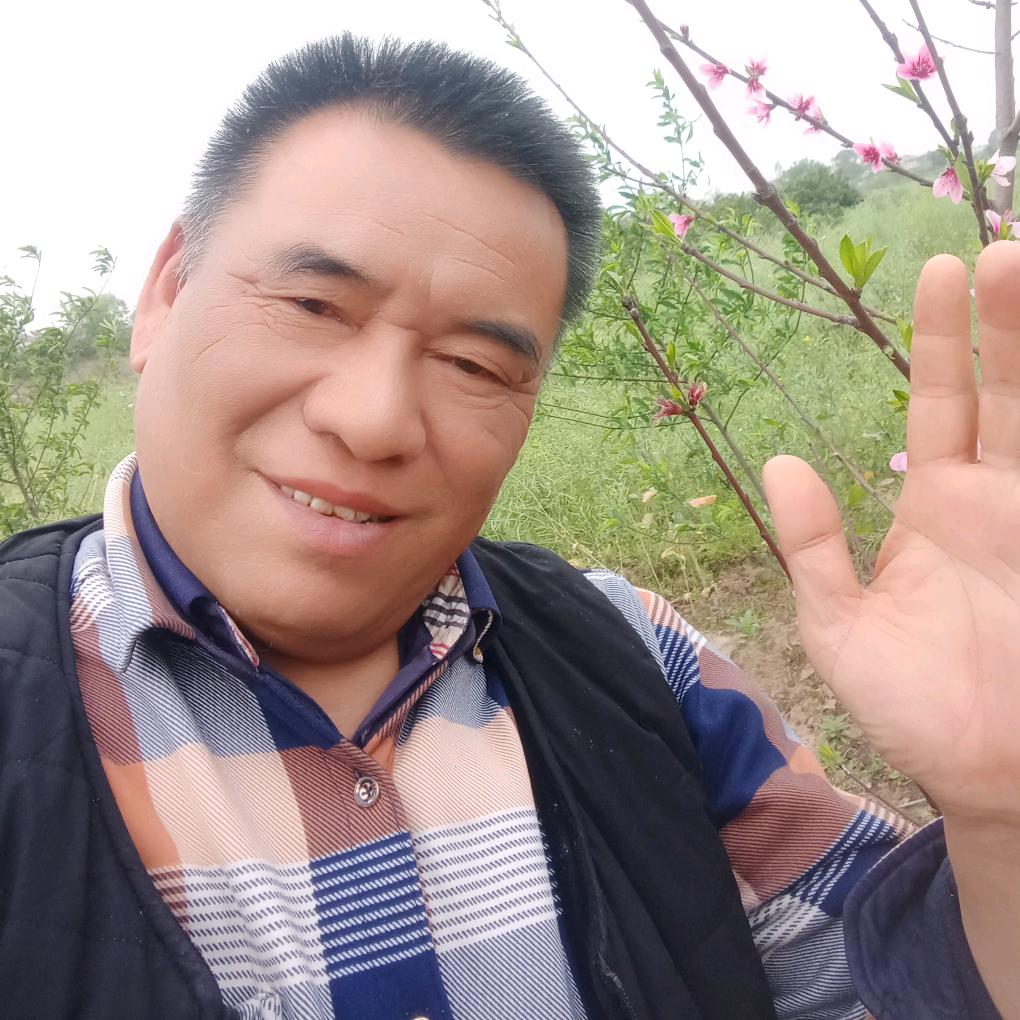 阳光灿烂。刘宗清。