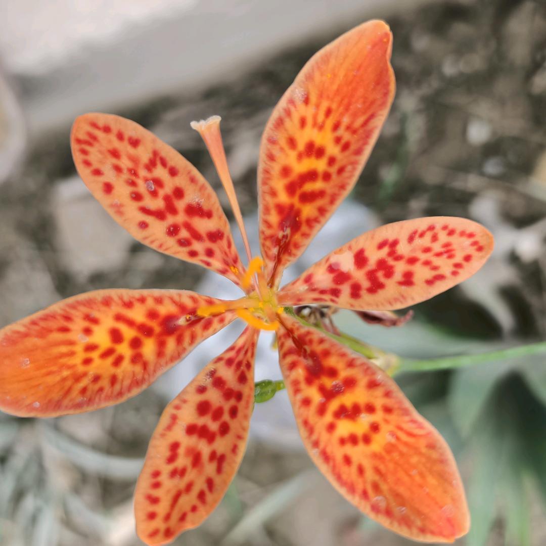 举杯敬酒敬孤单