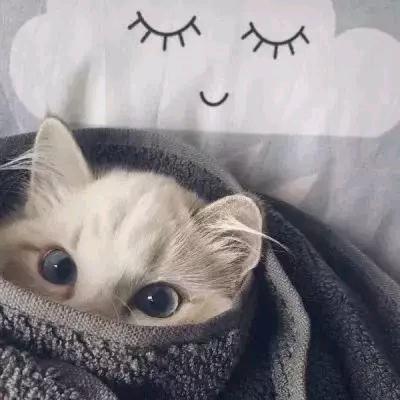 江外