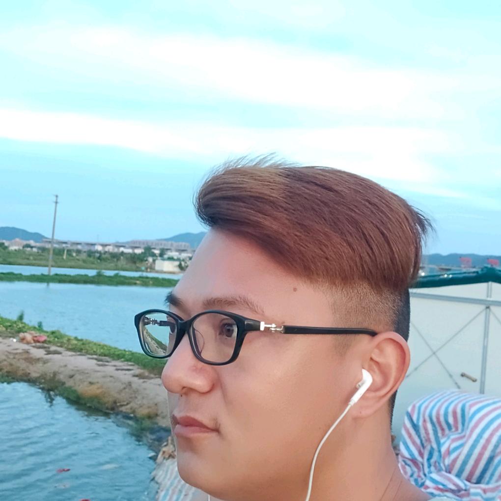 大宋啊辉