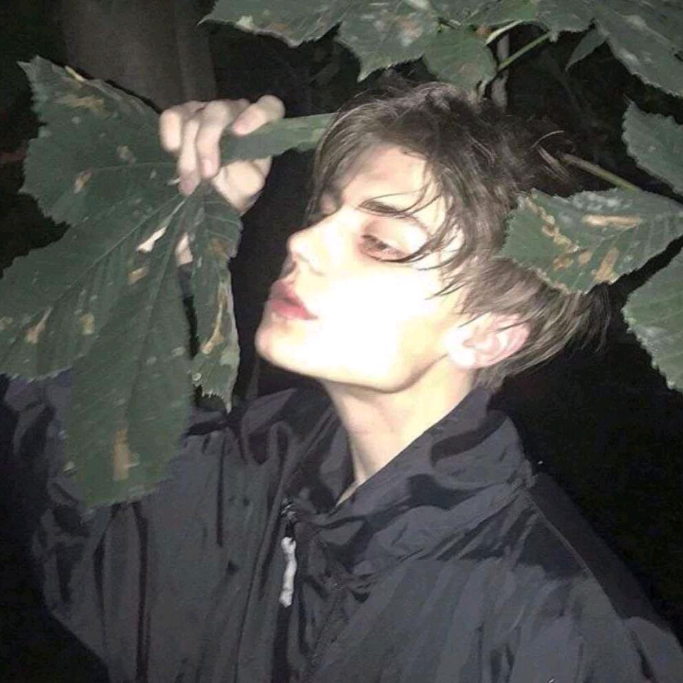 导演    卡  卡卡