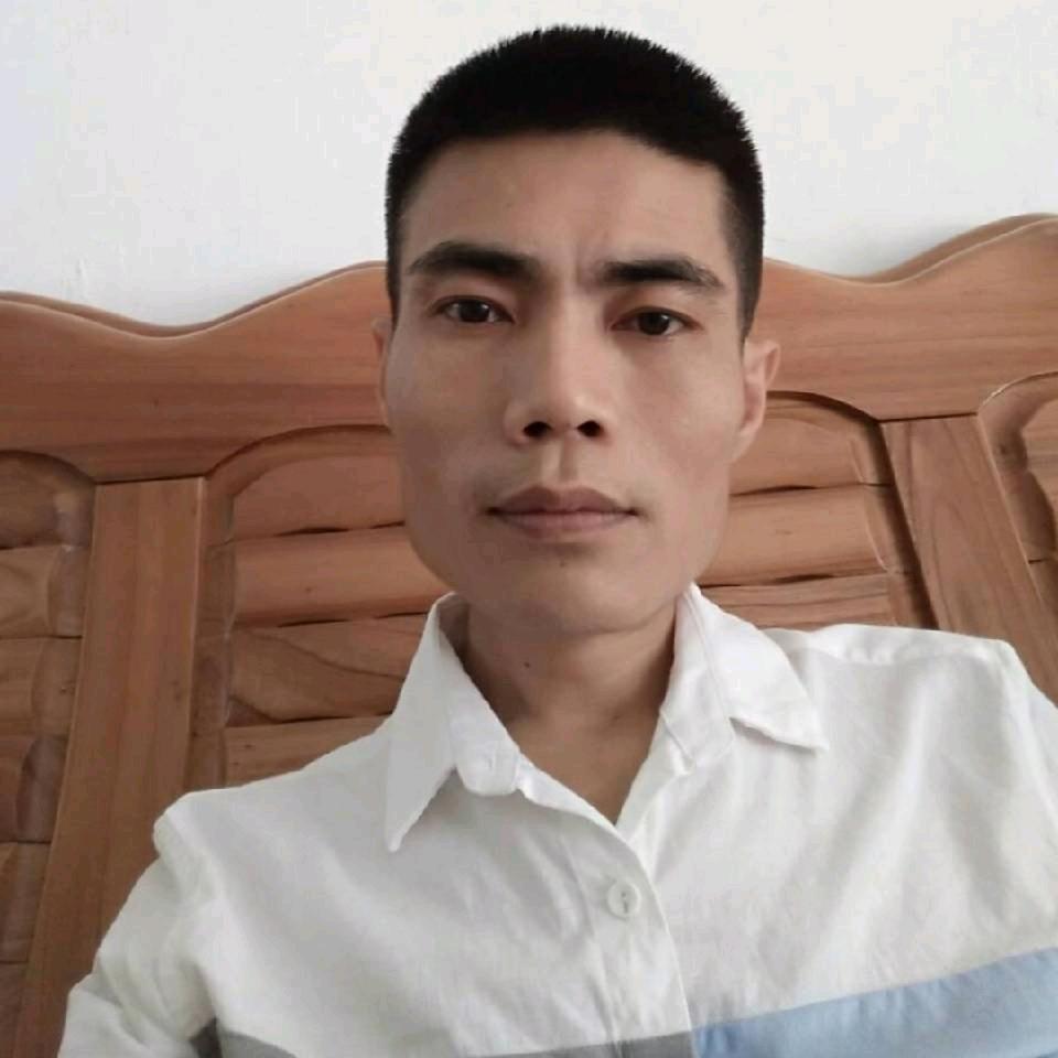 金龙