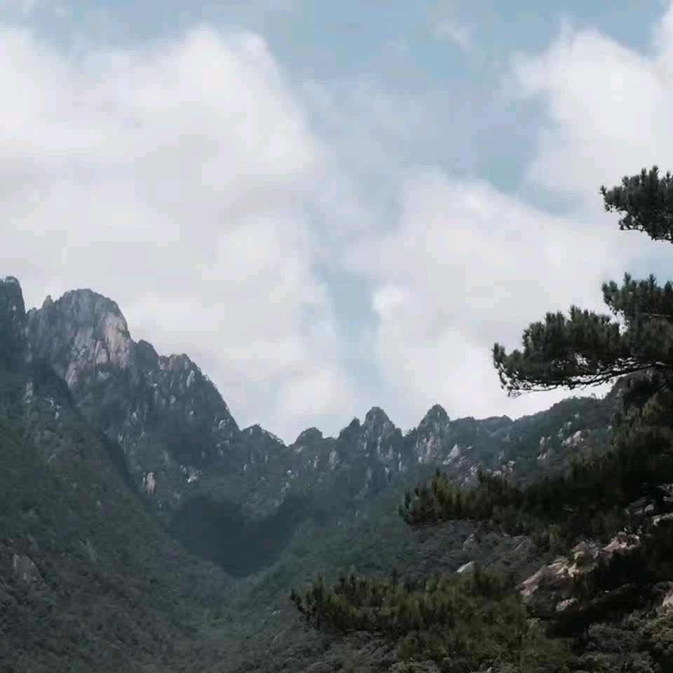 哇