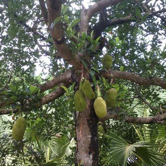 常德市刻木山乡