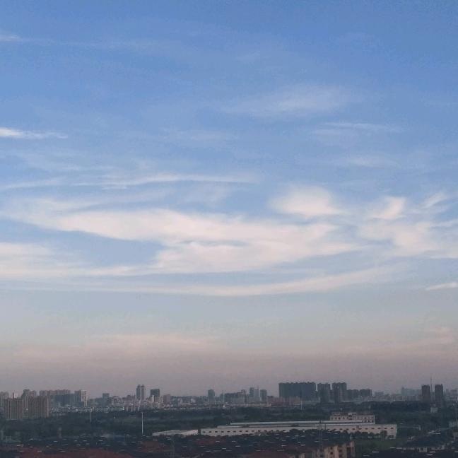 小 徐