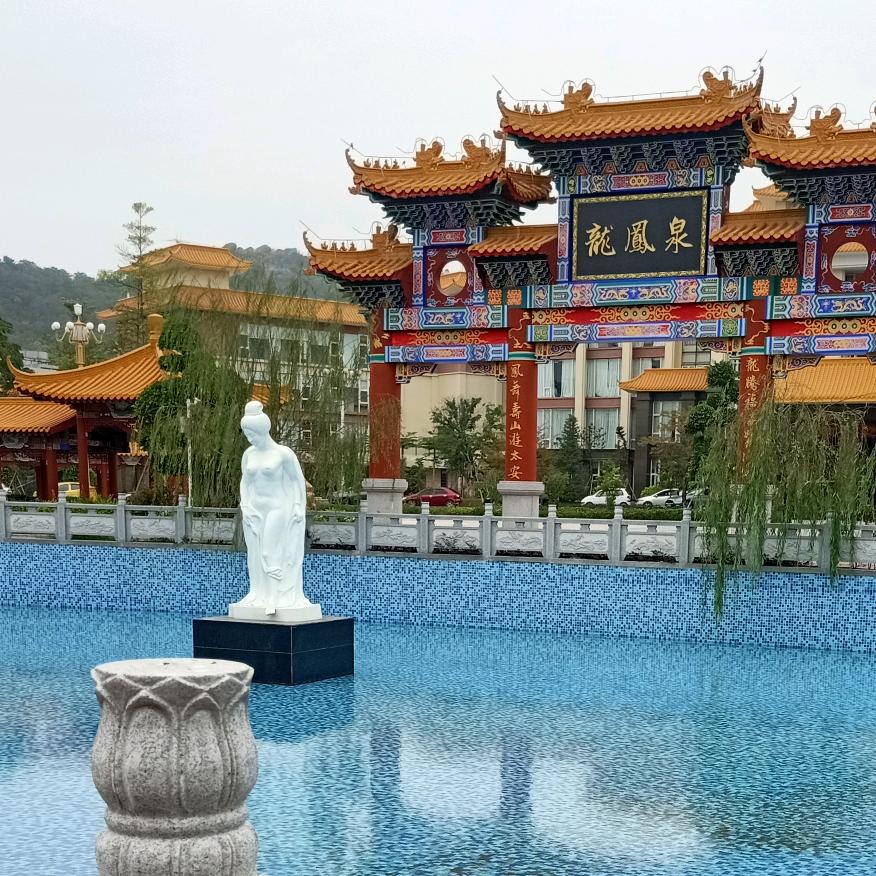 幽幽兰花🌴🌴🌴🌴