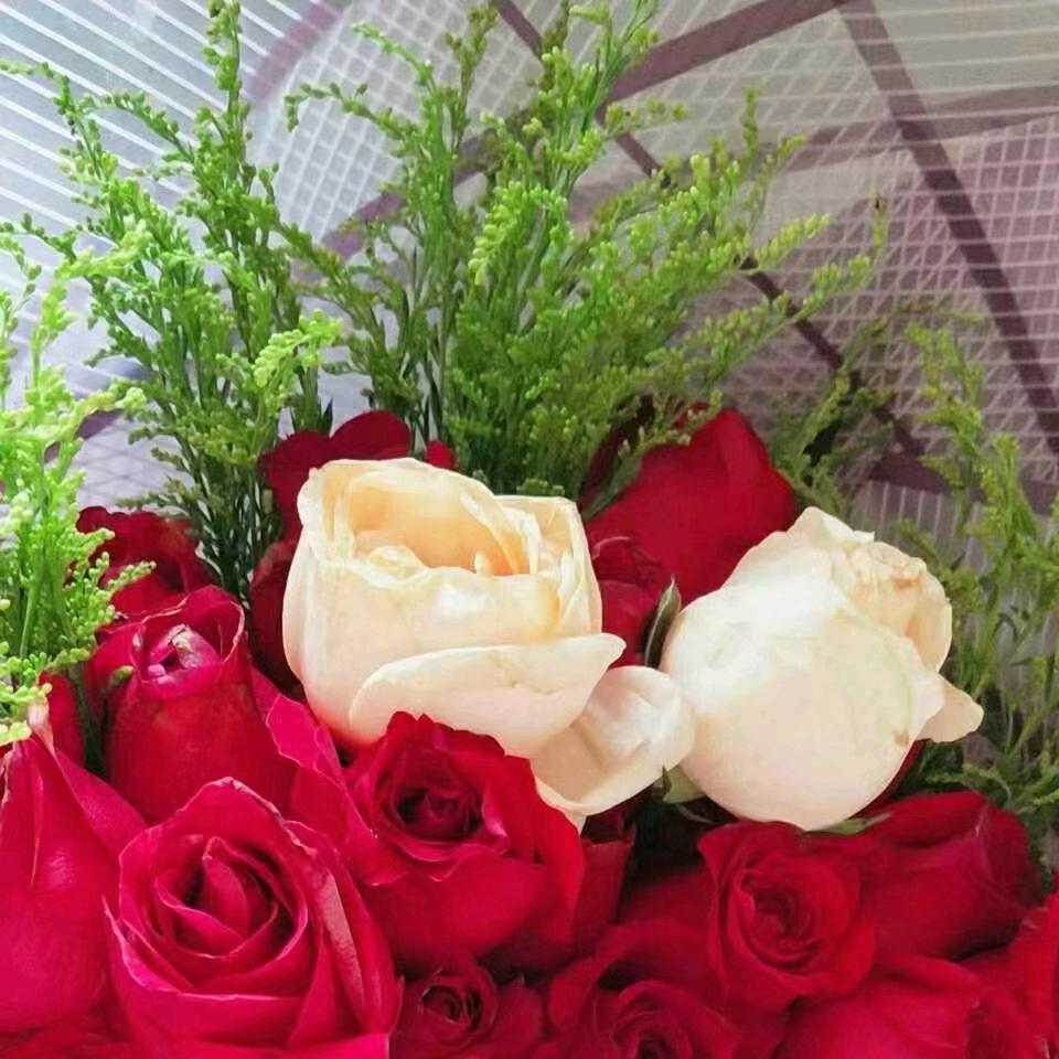 芳草依然