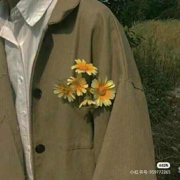 凉皮(三角洲行动)