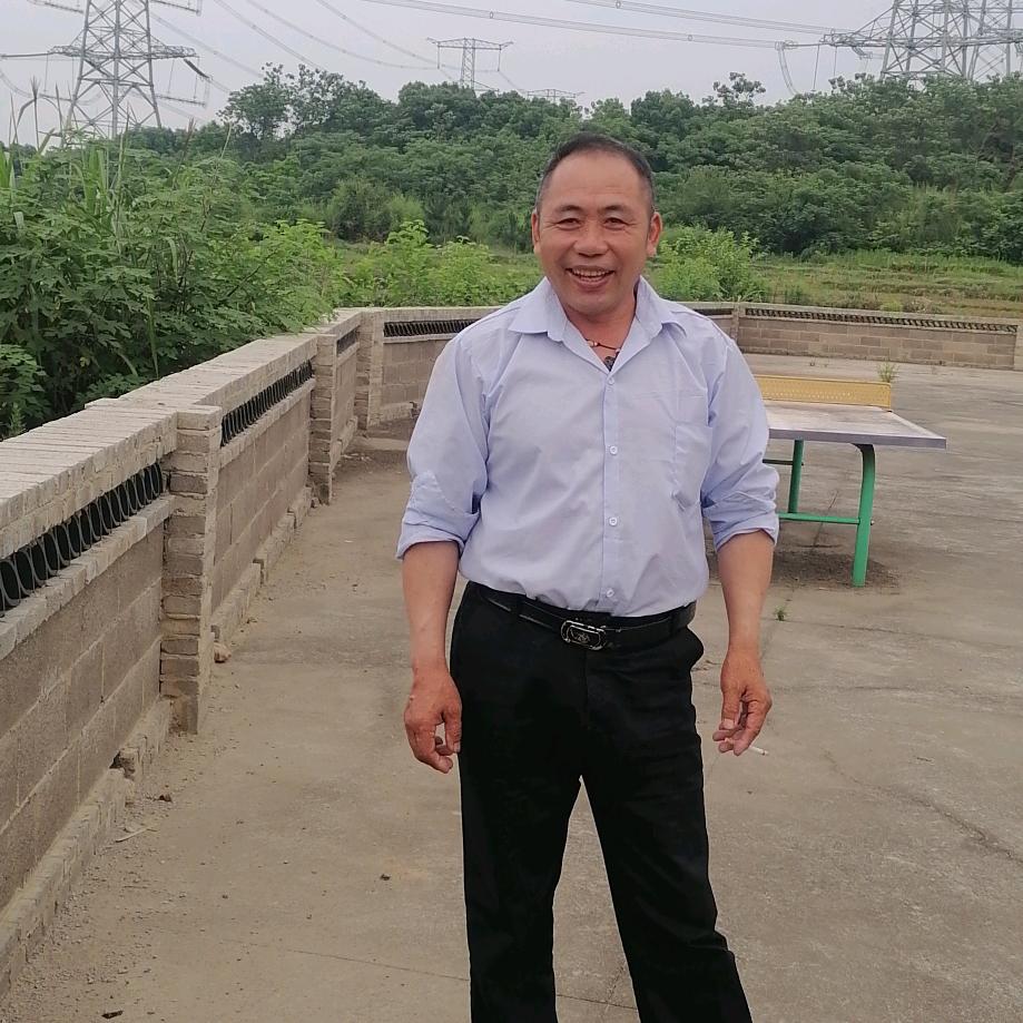 我爱黄梅戏徐金宝