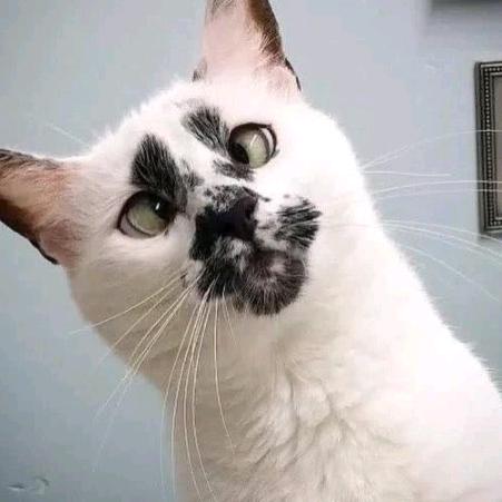 Sir