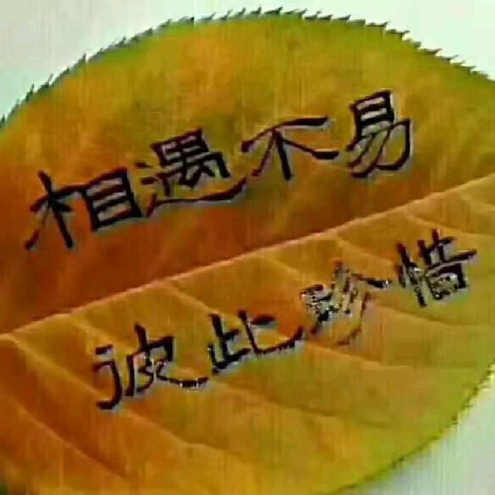 哥不放弃你