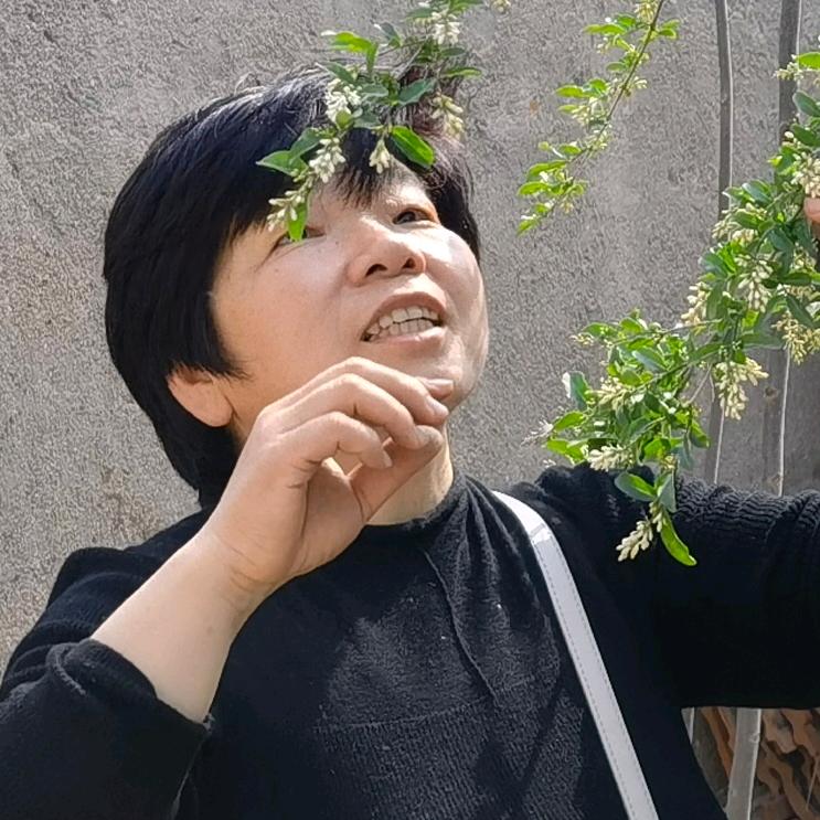 紫气东来
