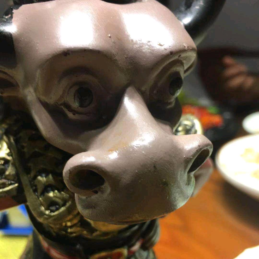 老 牛