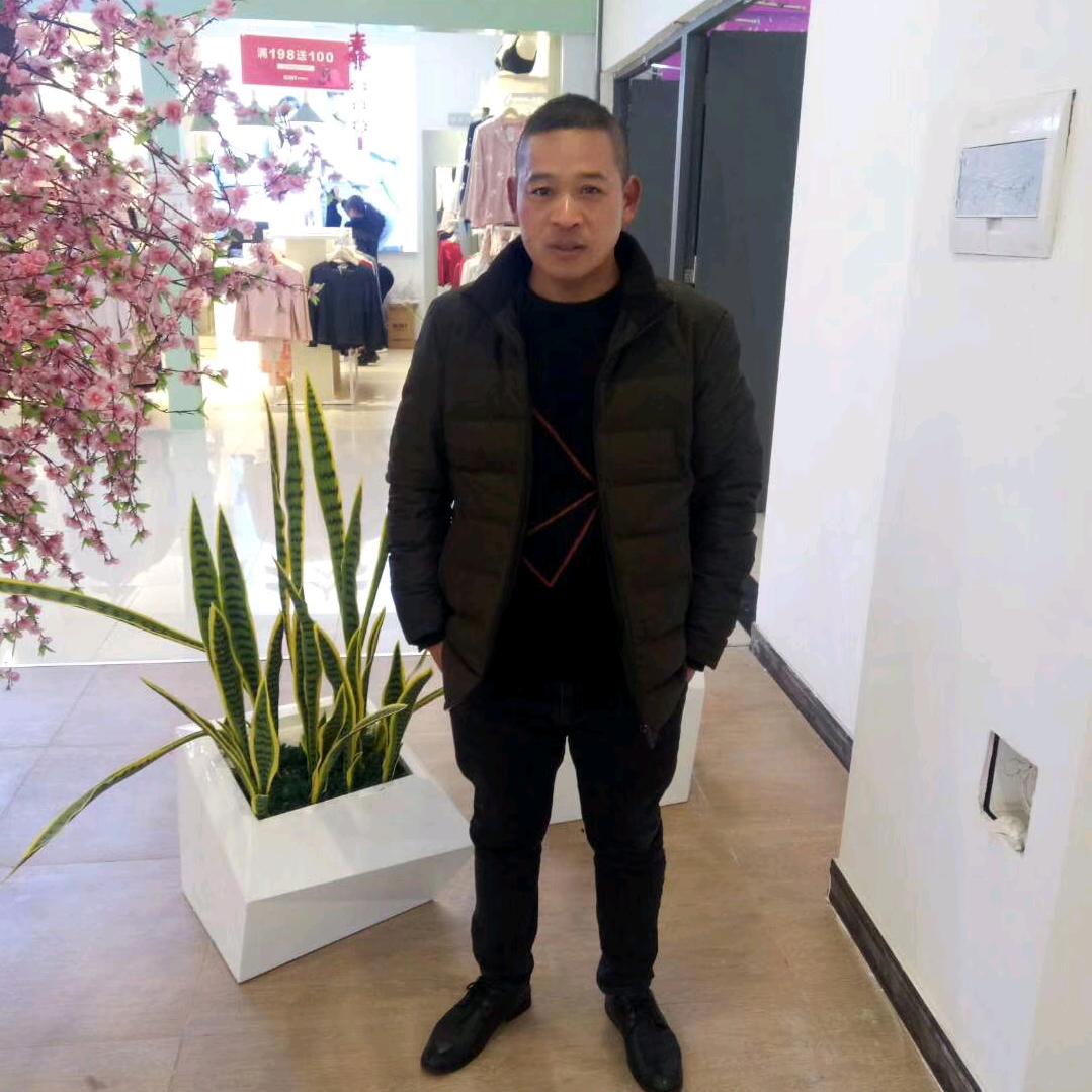 自由自在