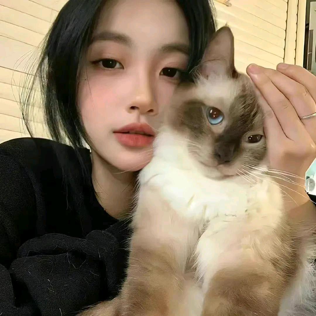 小董没睡醒h.💤