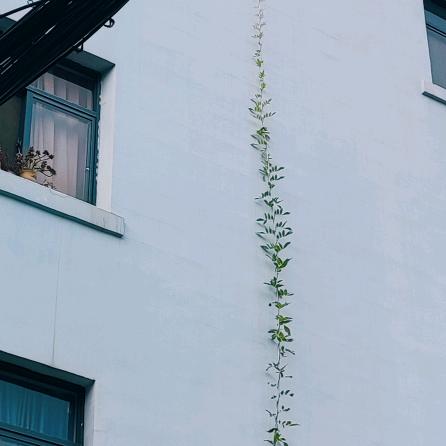 混天绫的哪吒