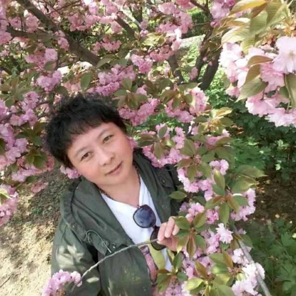 菩提树下向日葵