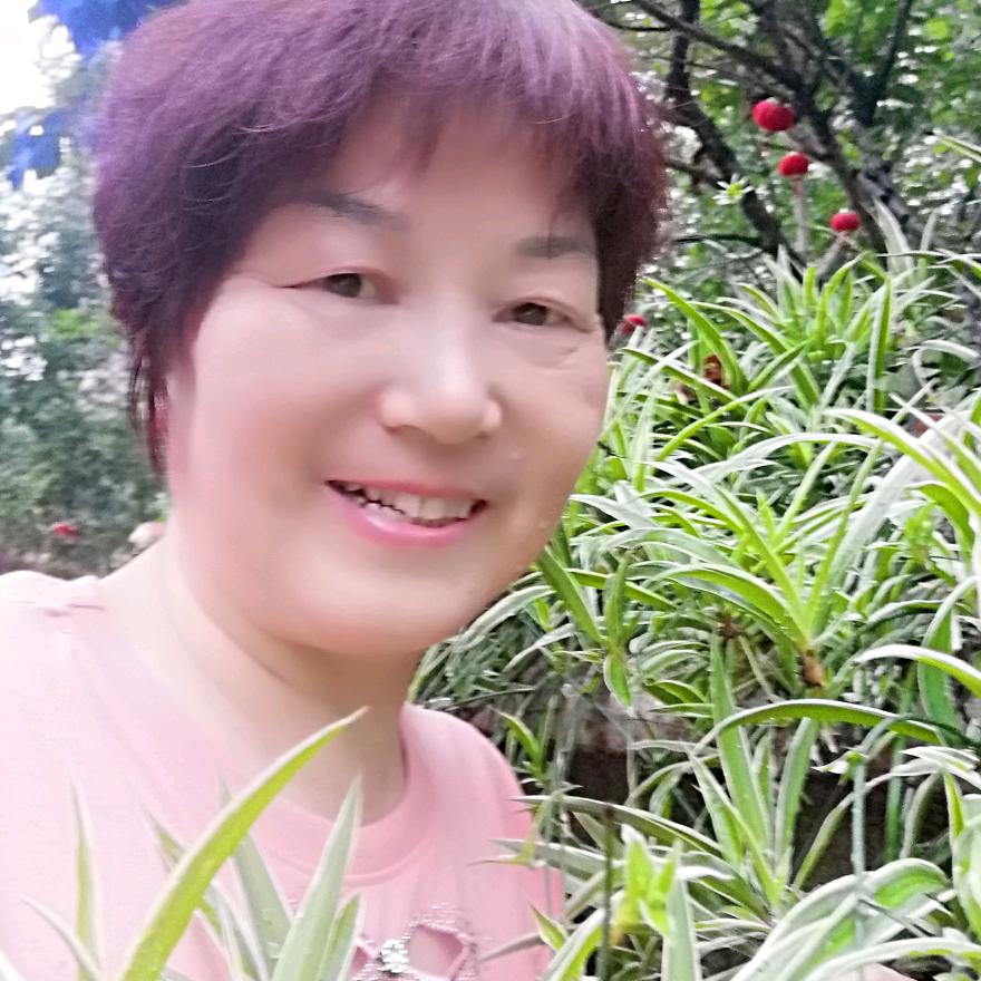 记忆埋心