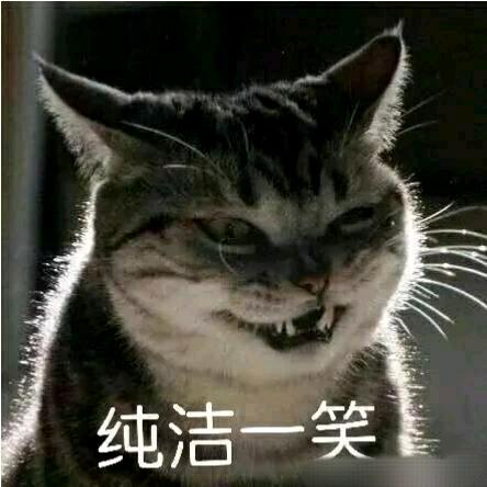 王小明本明