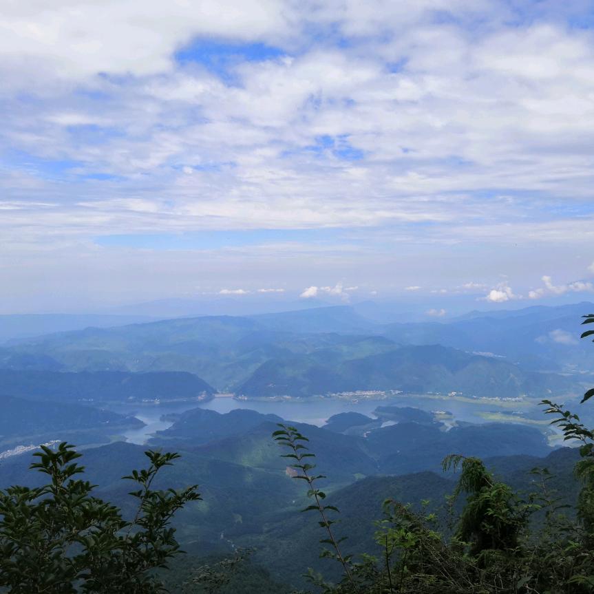 丑猪山石