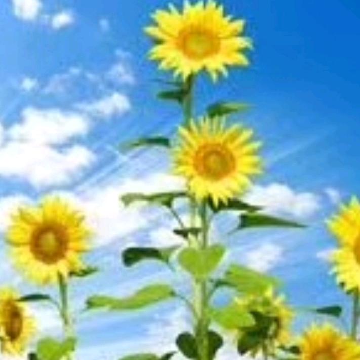 😎往事随风😎