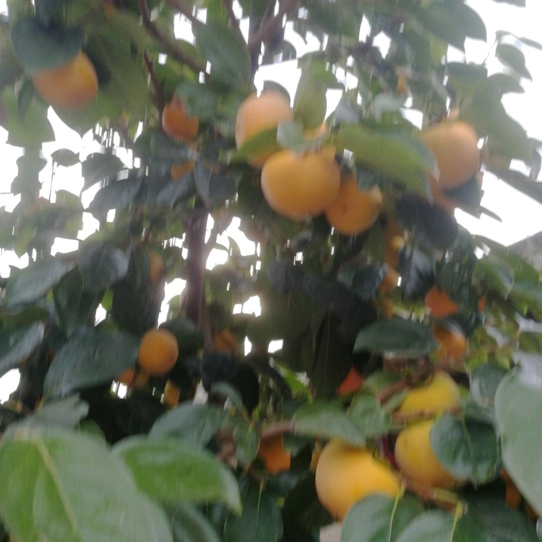 用户7106565403525乐在其中