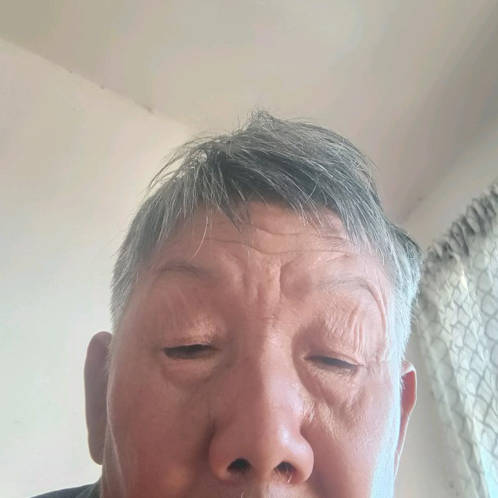 羊群