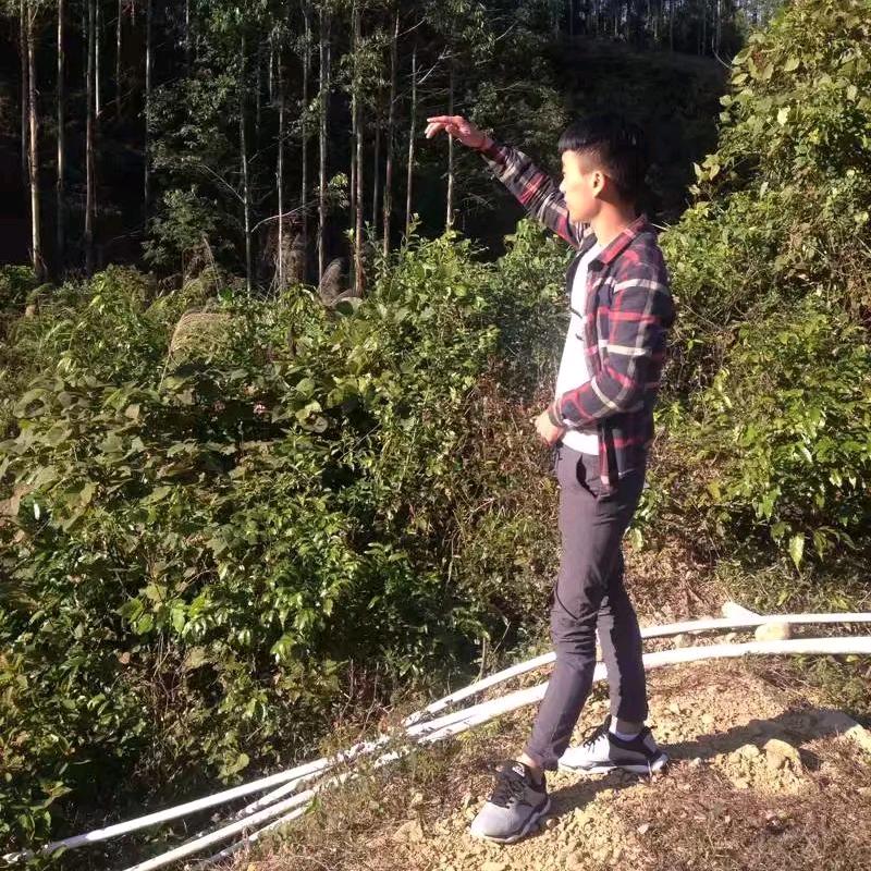 顺心捷达快运 全国零担（顺德碧江分部）