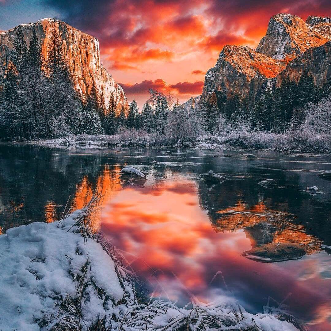 再见只是陌生人