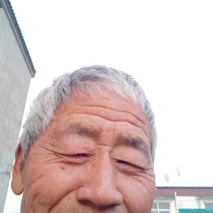自由自在