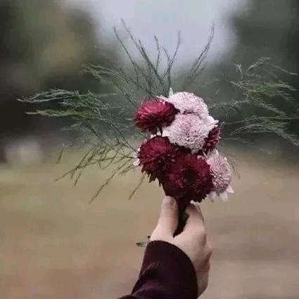 心如~止水คิดถึง