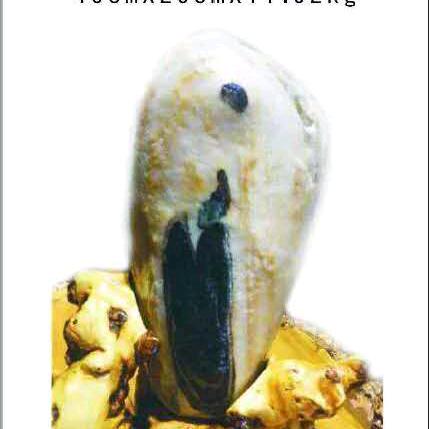 520昆仑奇石屋寇文龙