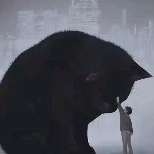 灬灬灬🔥