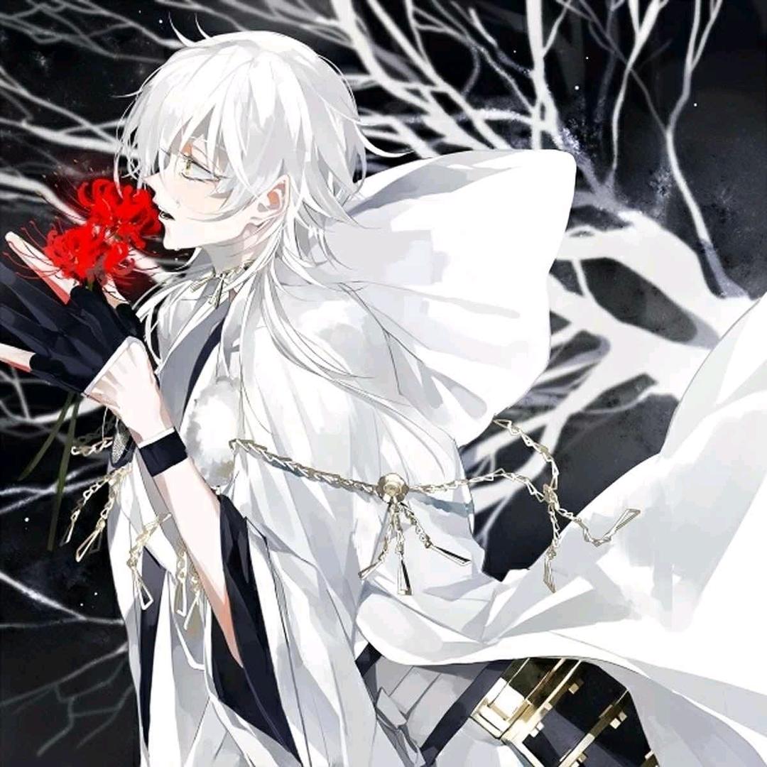 朝花ꦿ᭄夕拾ೄ೨