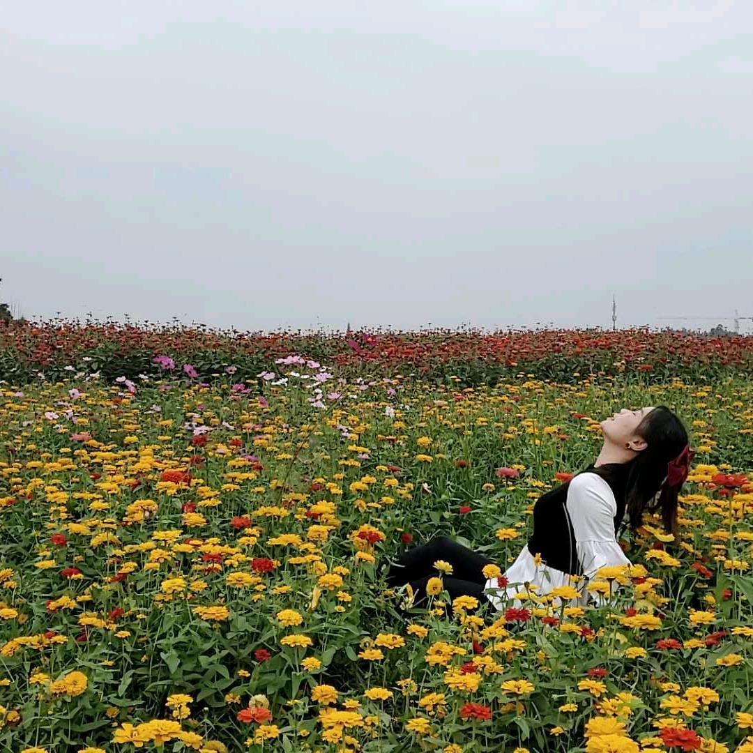 机缘巧合🌿🌿🌿