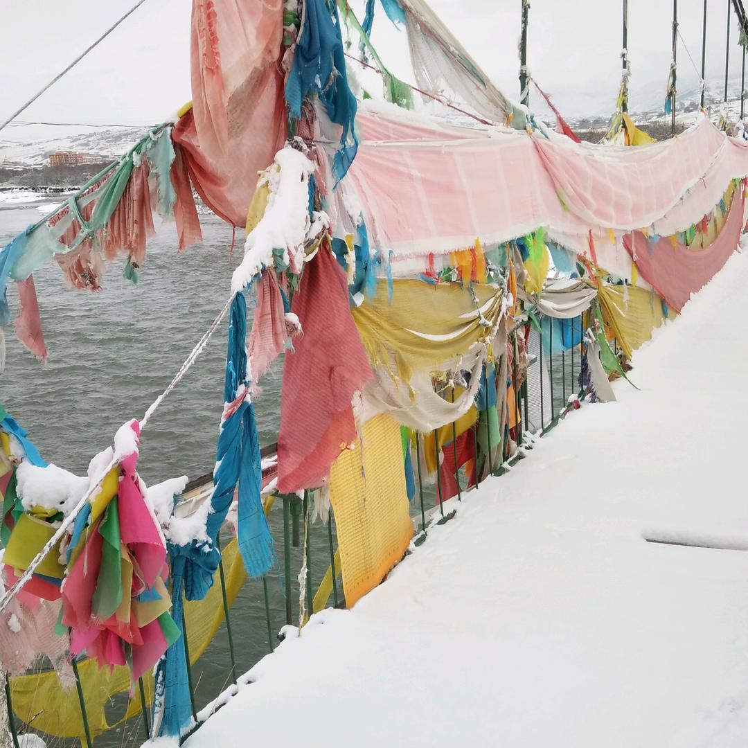 浪鲤个浪
