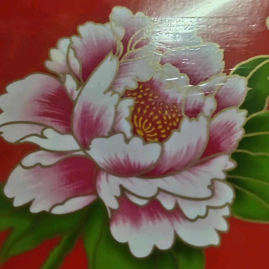 你的出现，一生缘！