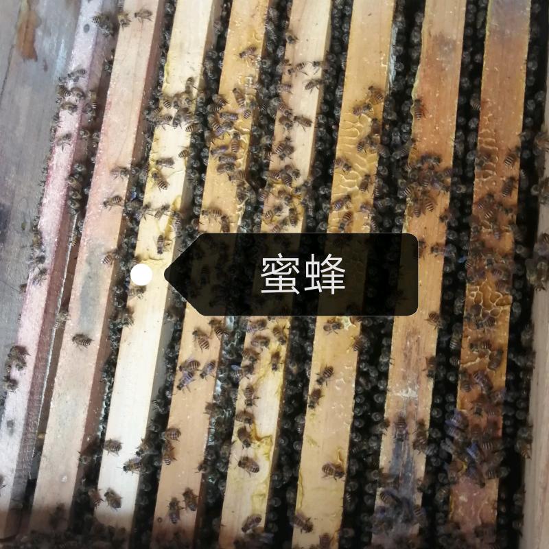 幸福的快乐