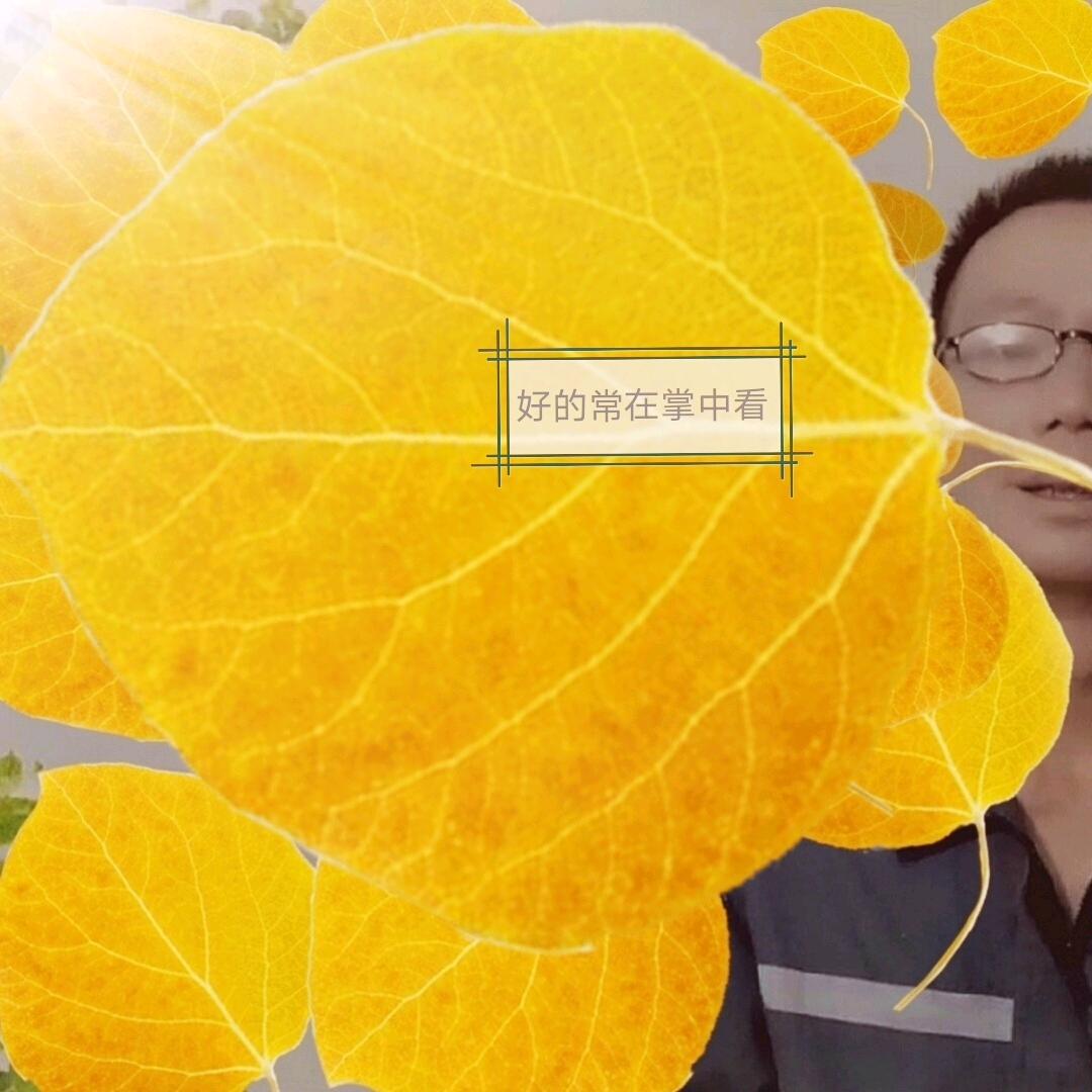 好的常在掌中看