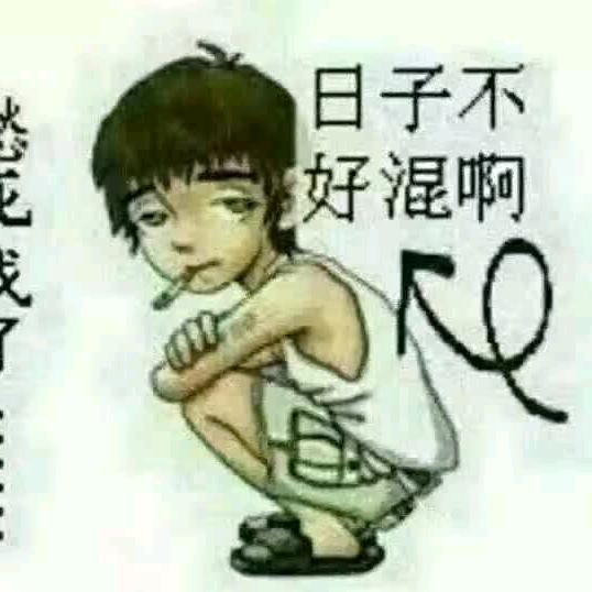 1860561780王庆