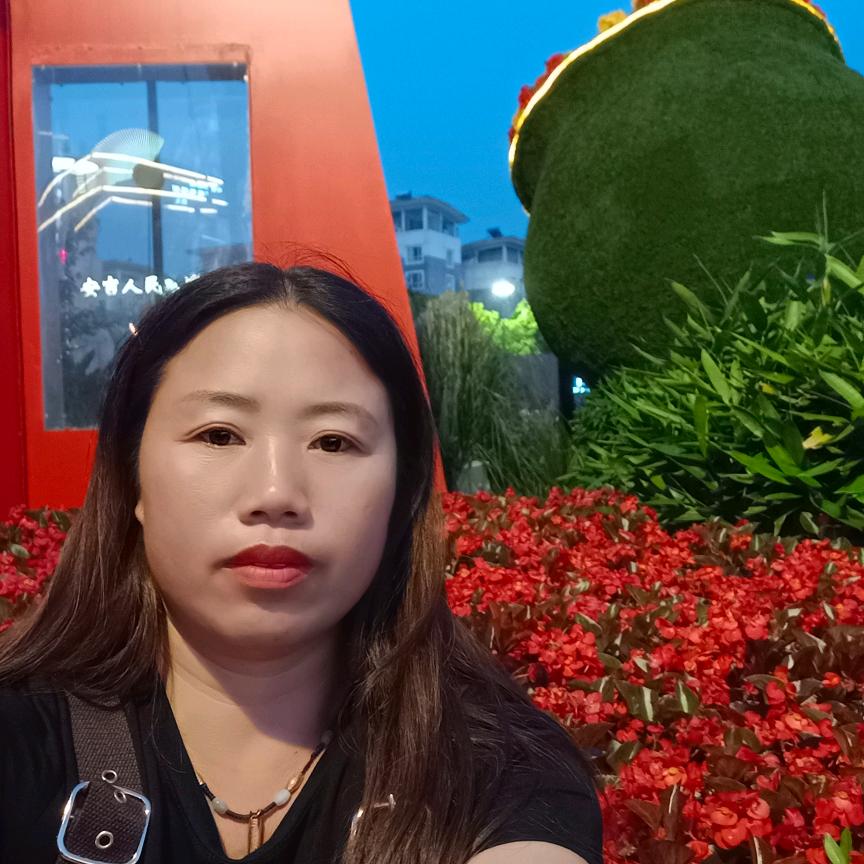 杨琴琴
