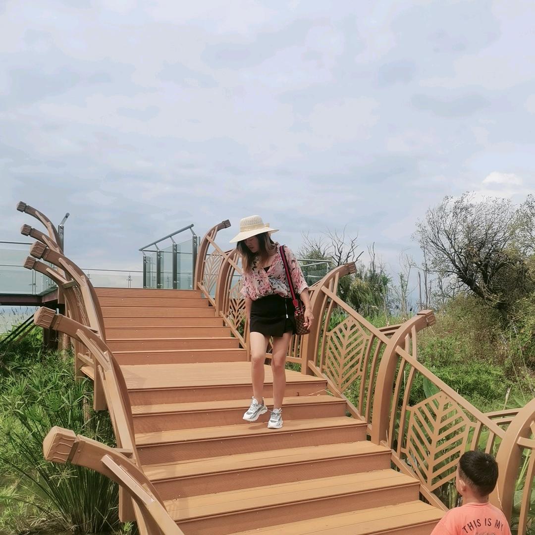 不要爱情的妞