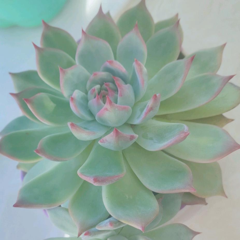 如此安好。。。