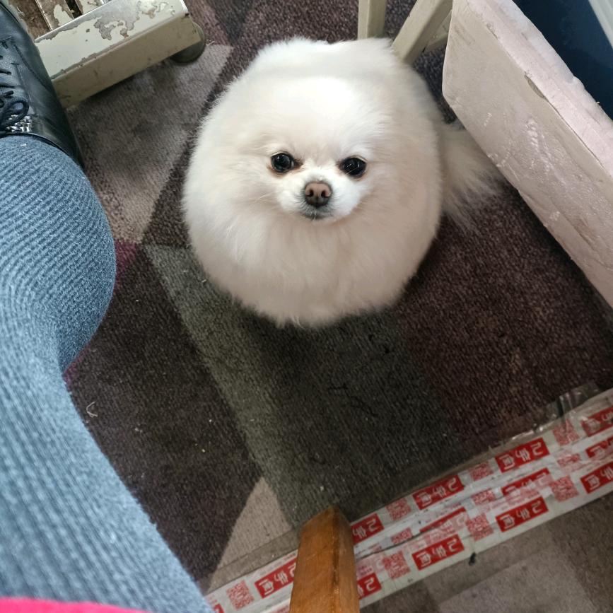 心静如水