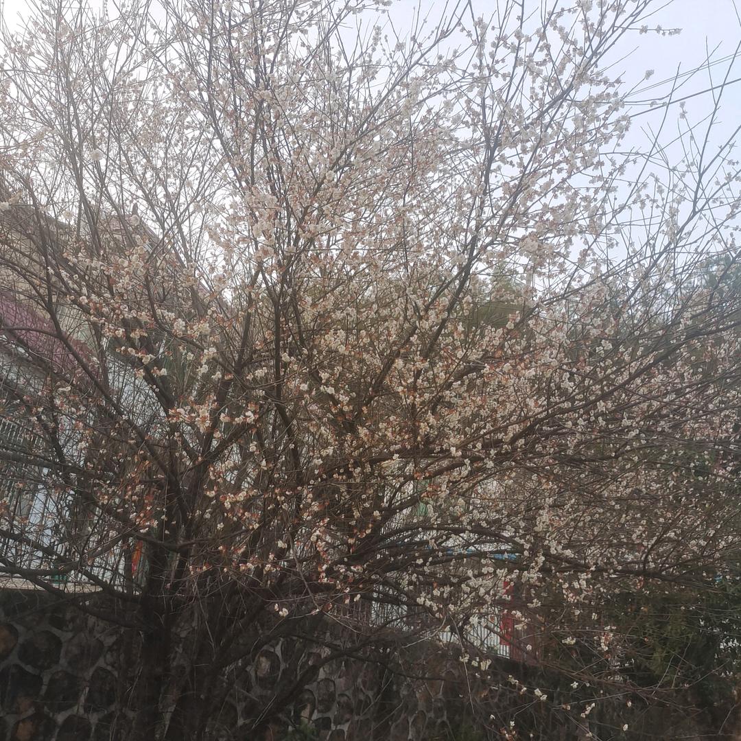 好多鱼哈哈