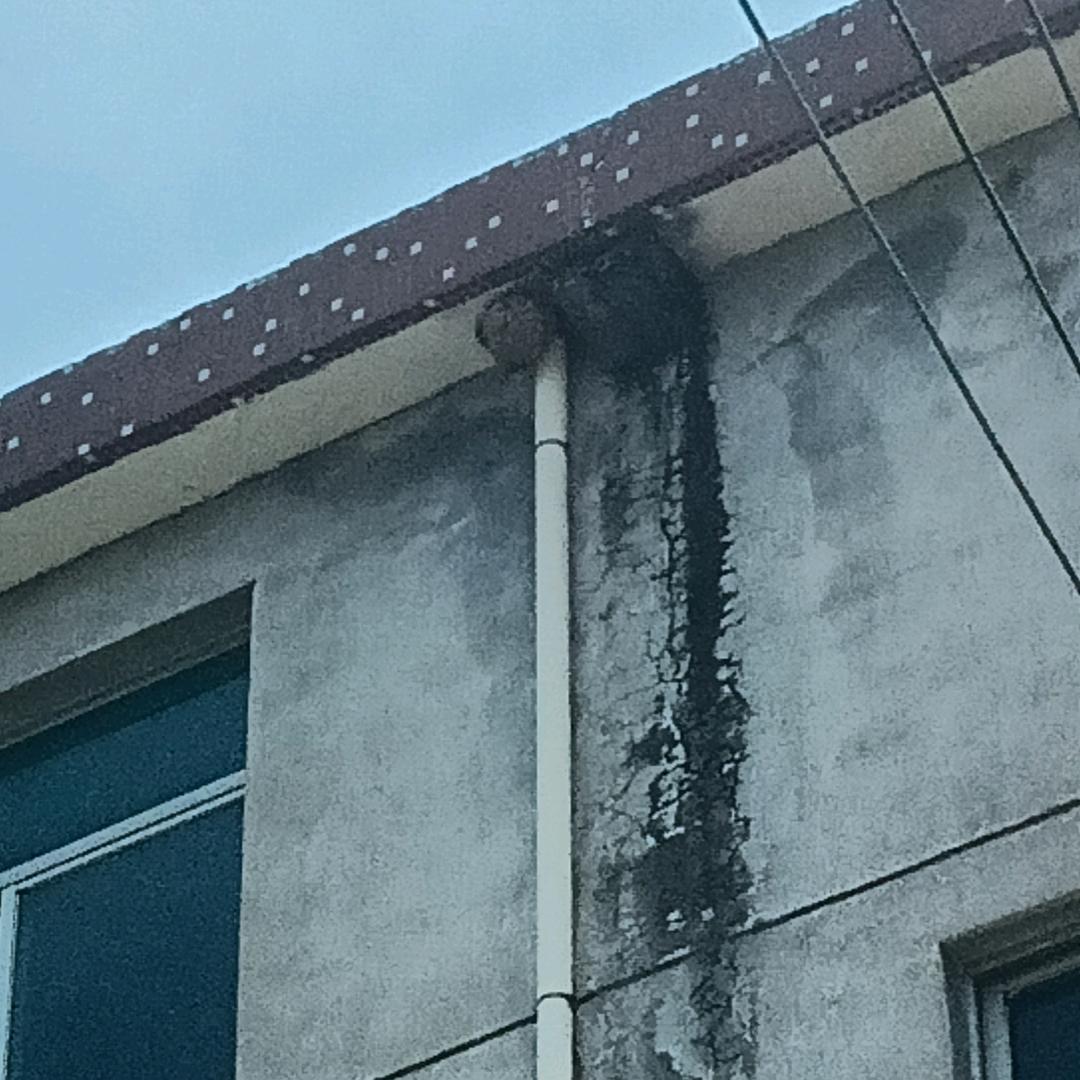 无爱^0^流浪汉