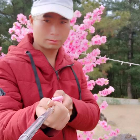 今生无缘