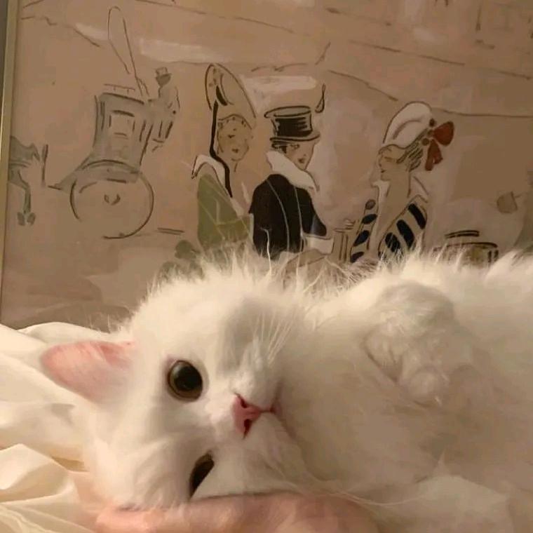 优雅的闪电芦苇