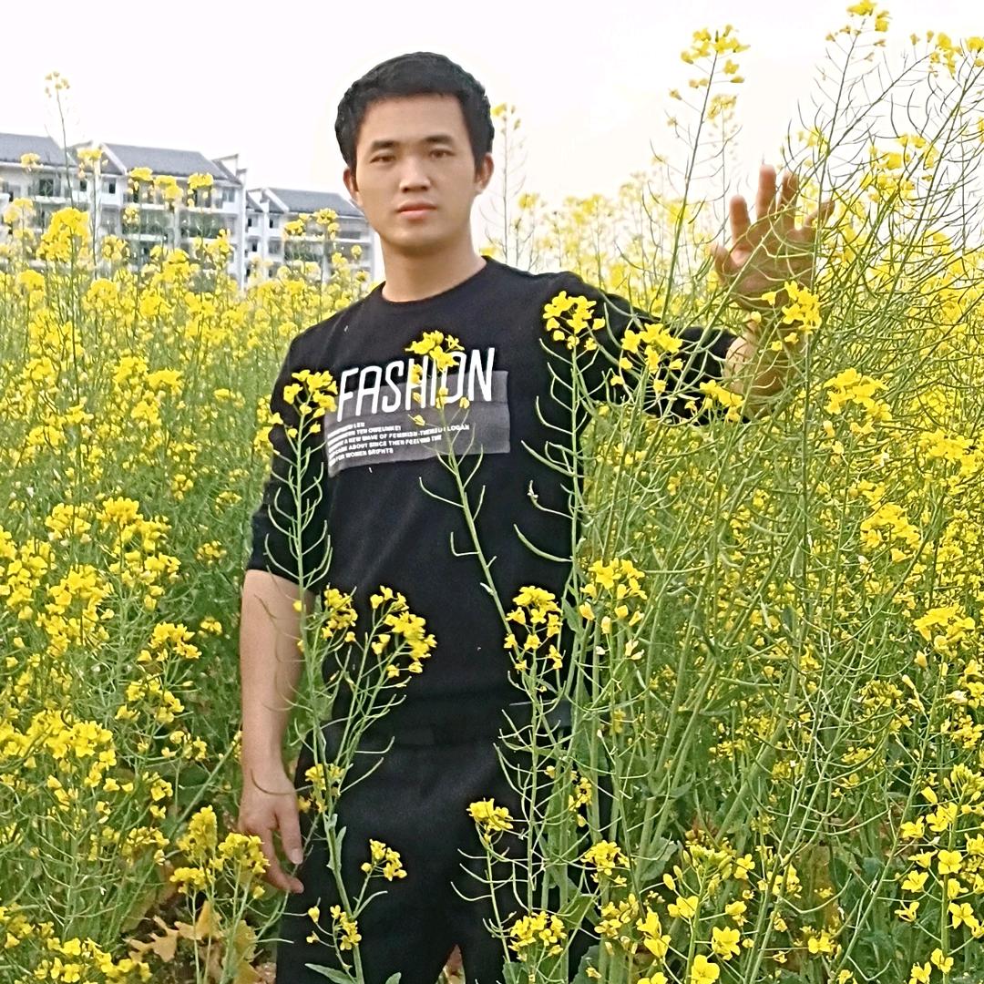 笨鸟&先飞