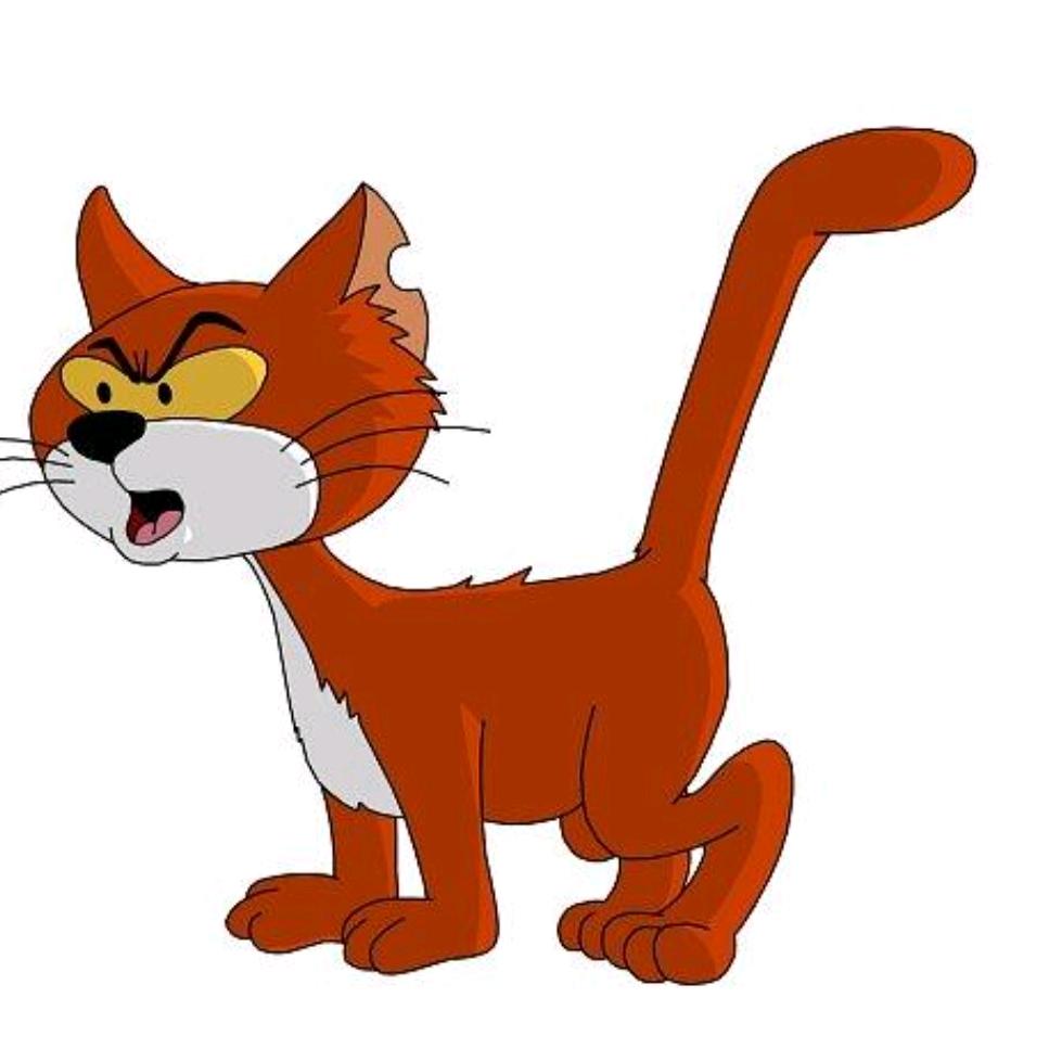 阿兹猫